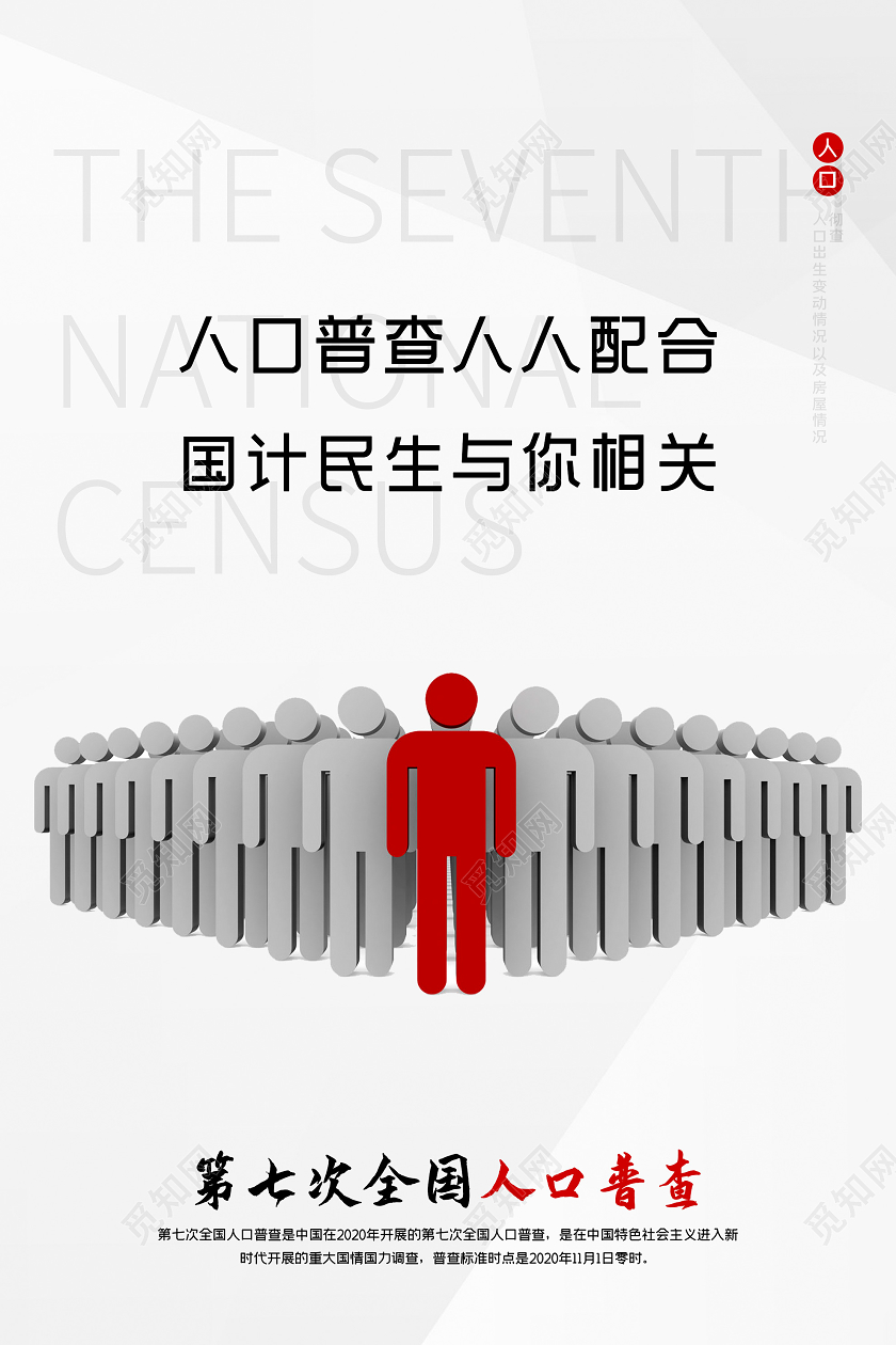 灰色简洁第七次全国人口普查宣传海报