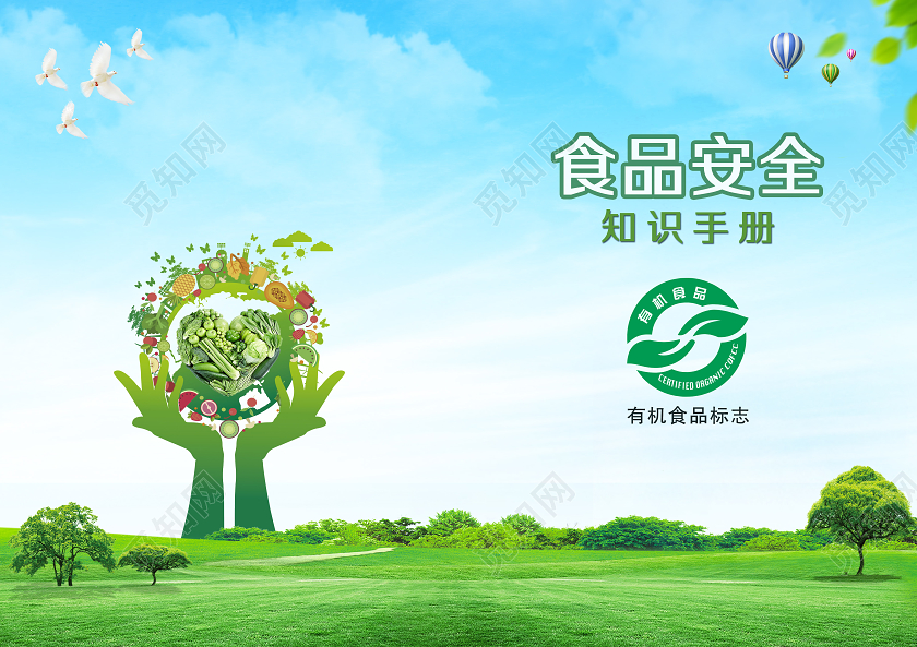 绿色简约食品安全知识手册食品安全画册封面