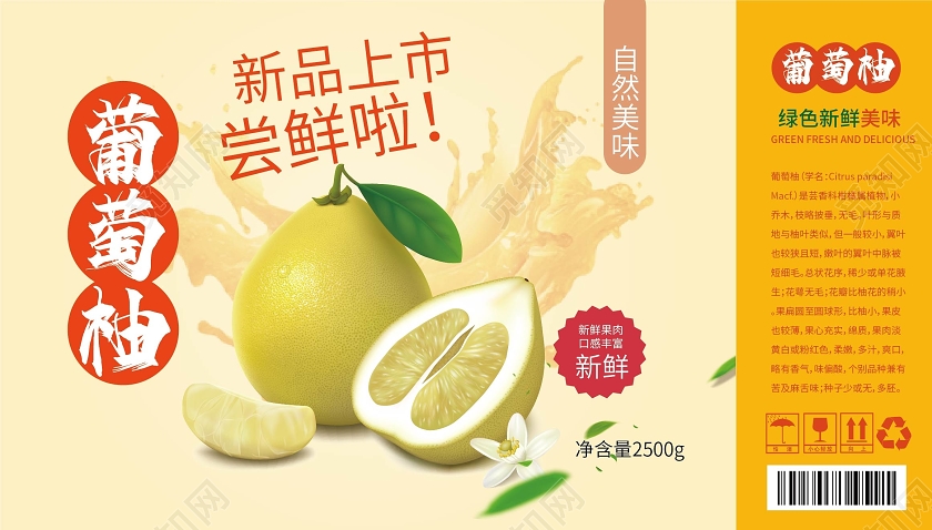 橙色简洁大气葡萄柚水果包装手提盒礼盒设计水果葡萄柚包装