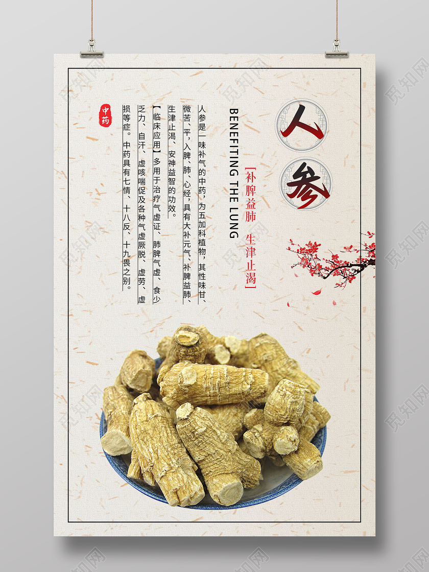 灰色古风人参宣传海报中医药海报