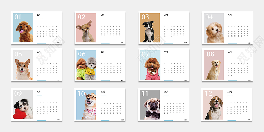 浅色可爱动物2021年挂历台历日历