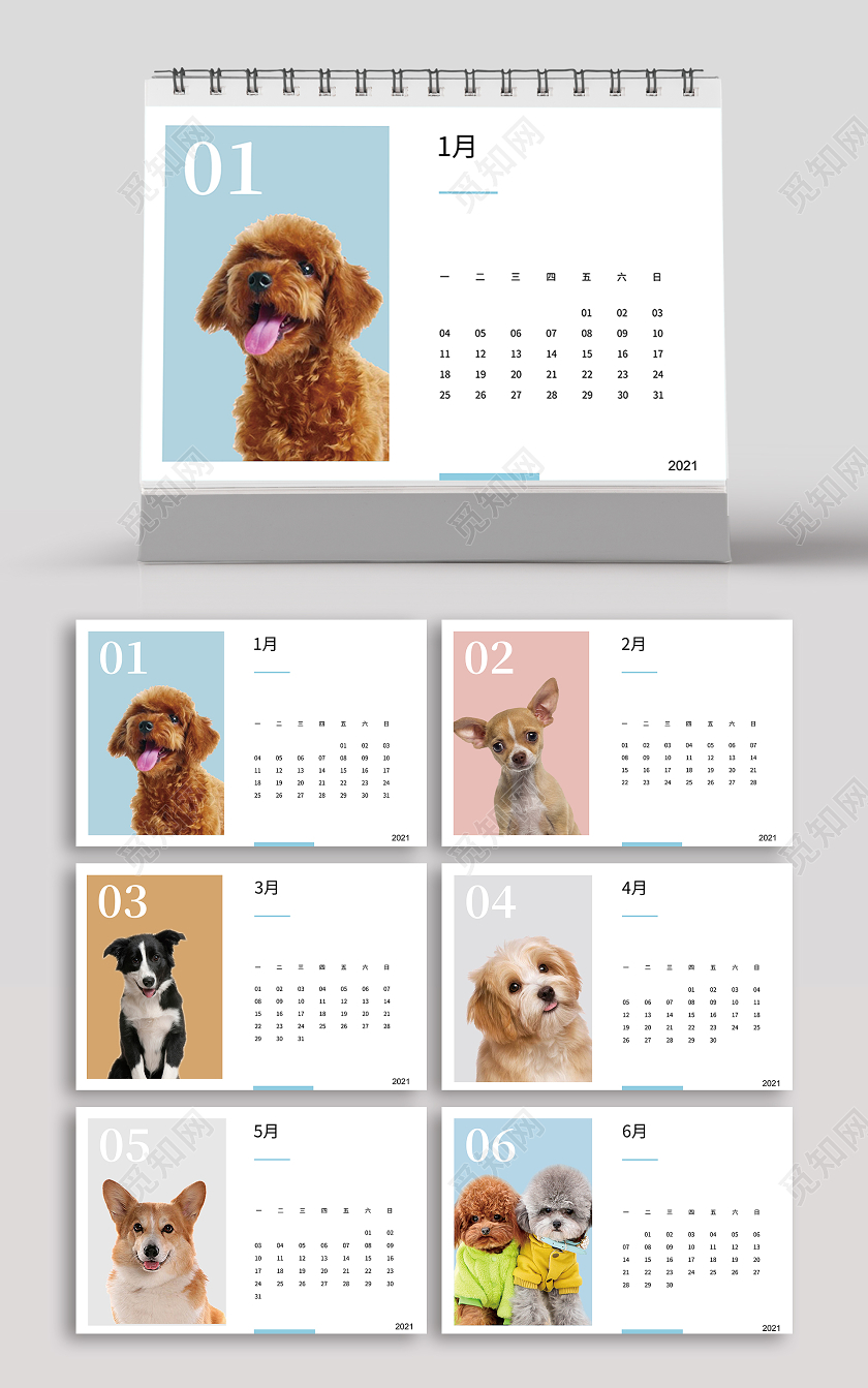浅色可爱动物2021年挂历台历日历
