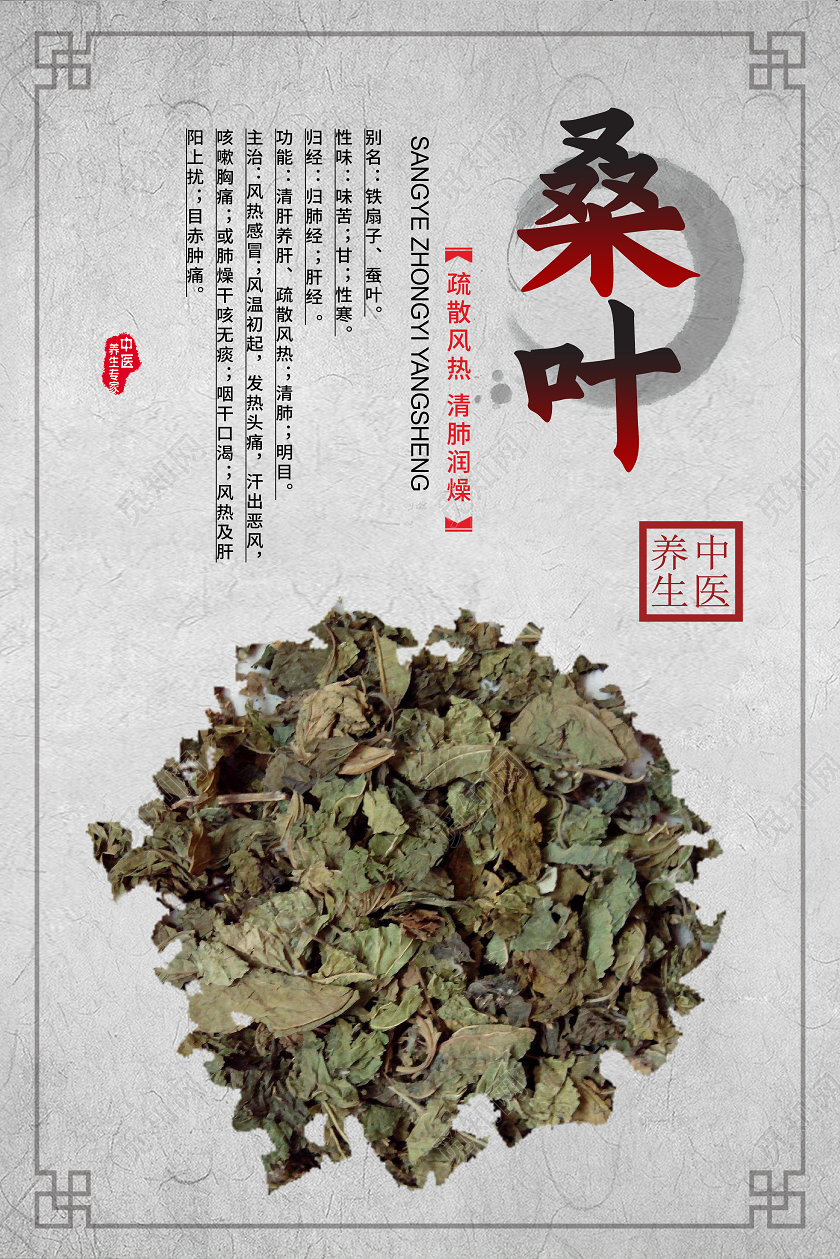 灰色古风桑叶中医药海报感恩节banner