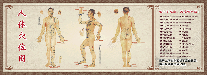 中医人体经络穴位图健康