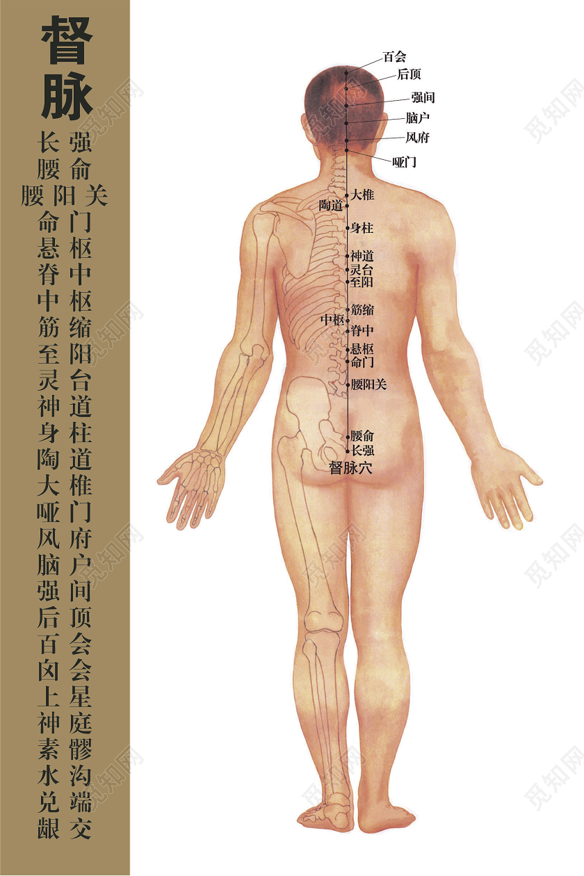 中医人体经络穴位图疏通舒服