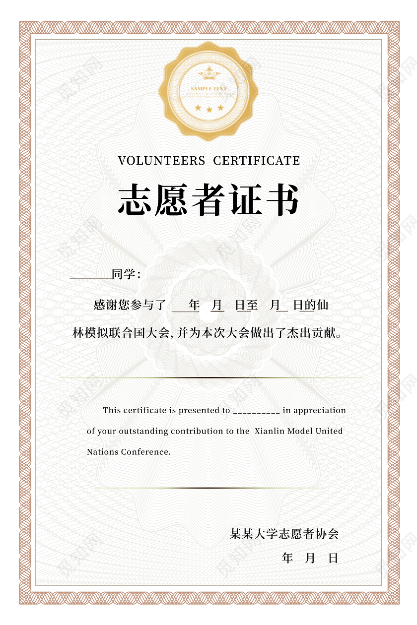 浅灰色简洁大气志愿者证书设计