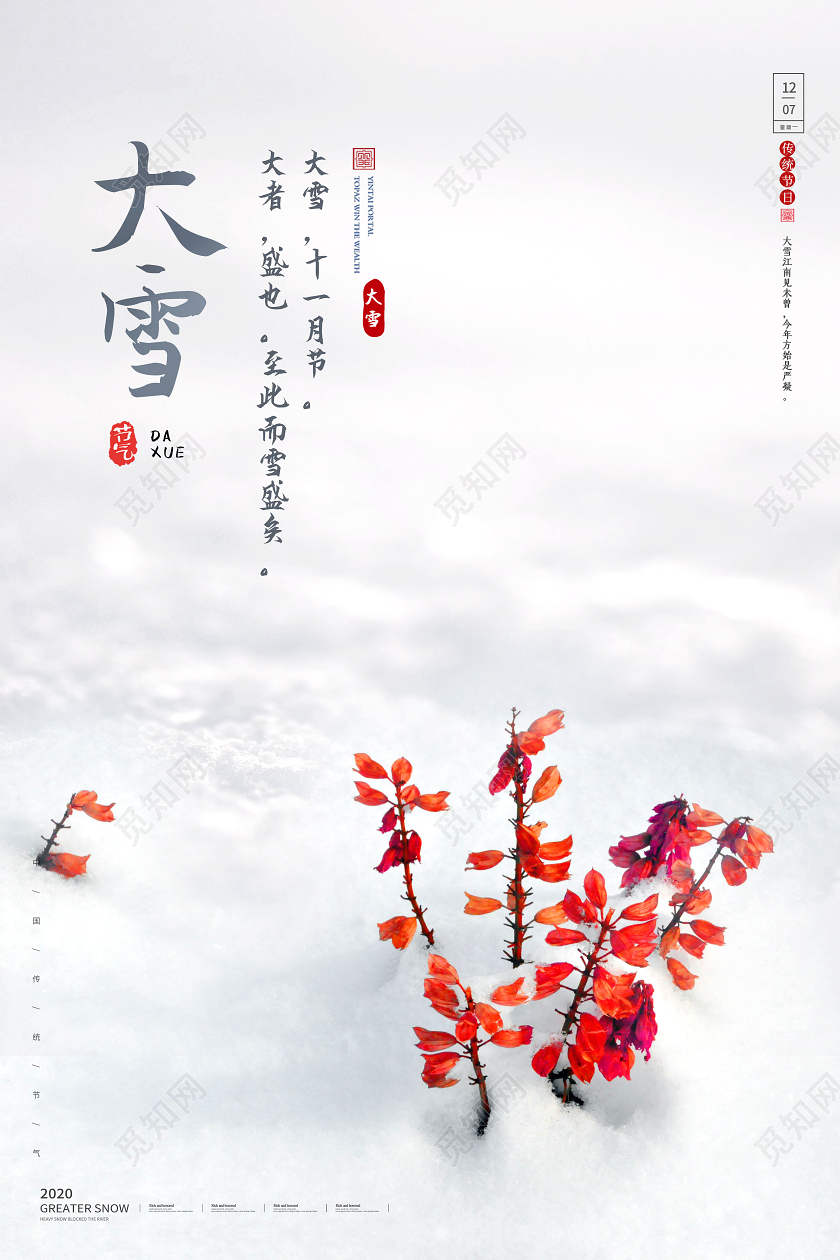 简约二十四节气大雪节气宣传海报