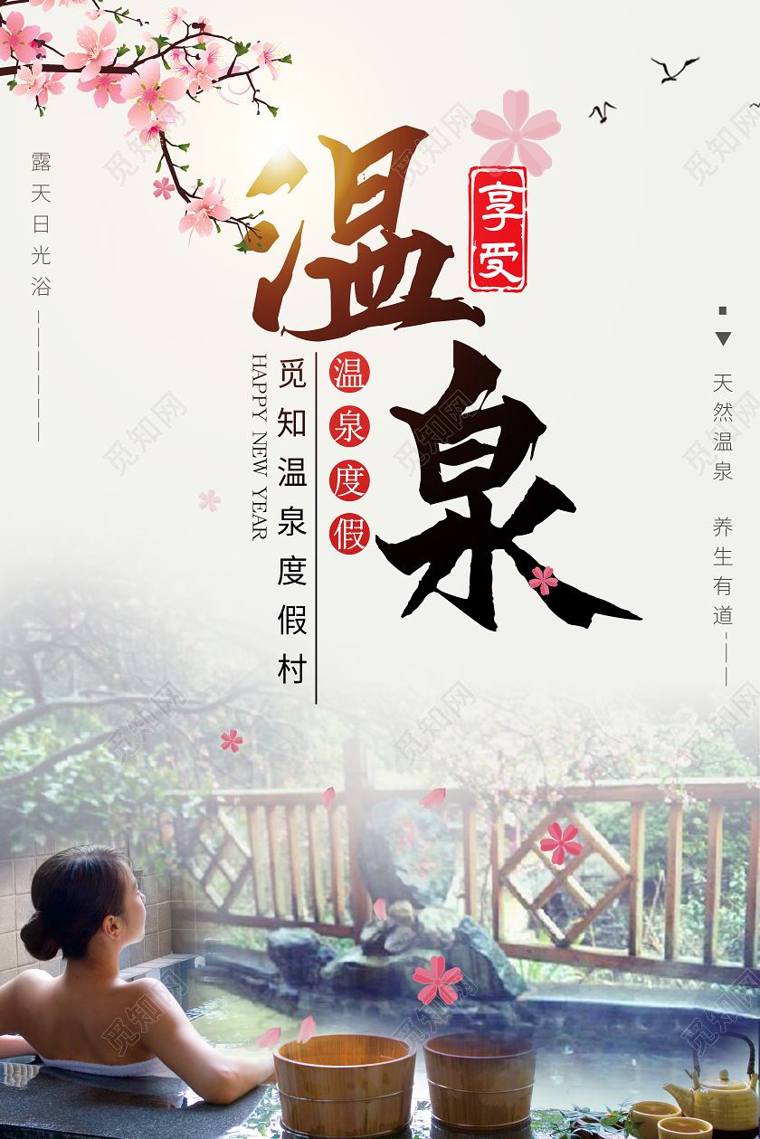 简约大气享受温泉旅游宣传海报