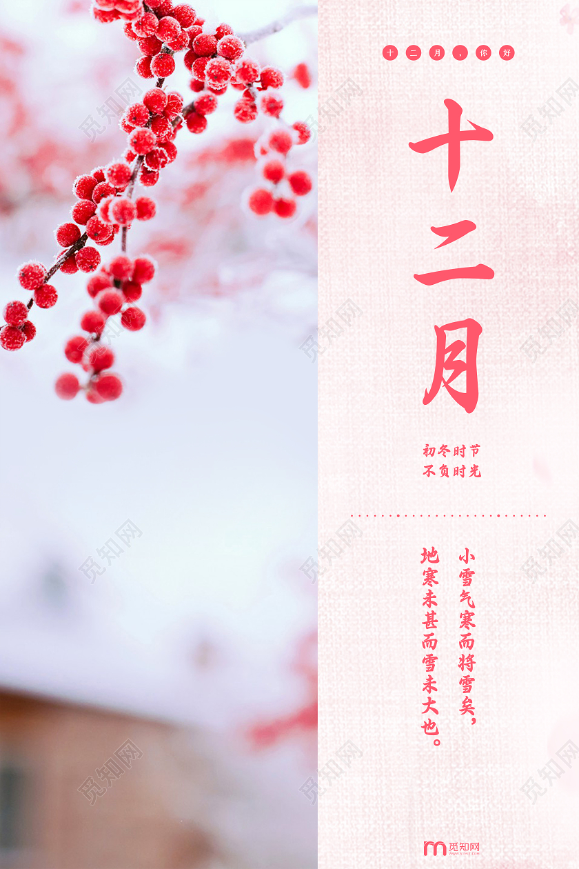 12月你好粉色简约十二月你好初冬海报