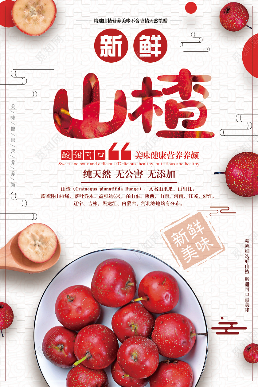 红色简约无公害山楂水果海报
