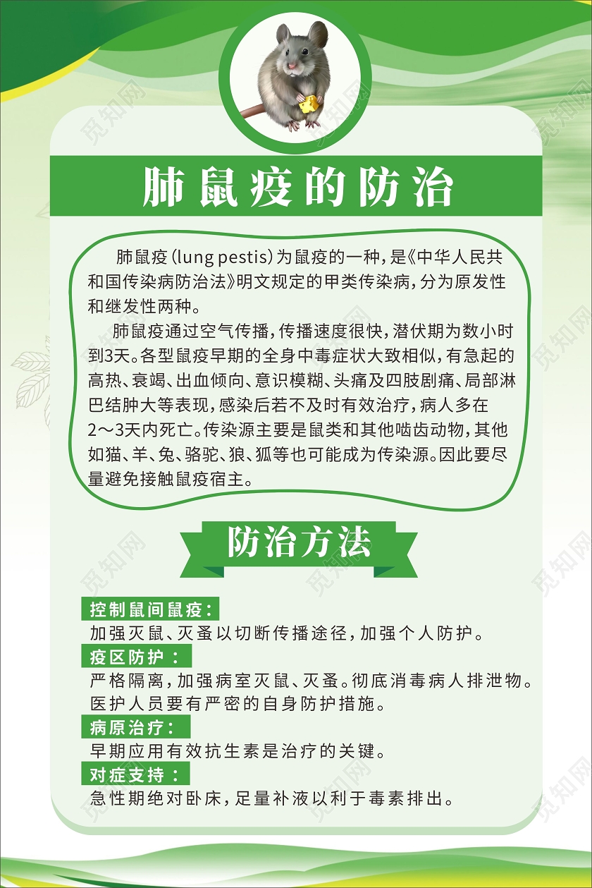 绿色简约线条背景健康教育预防鼠疫卫生海报健康教育宣传栏鼠疫