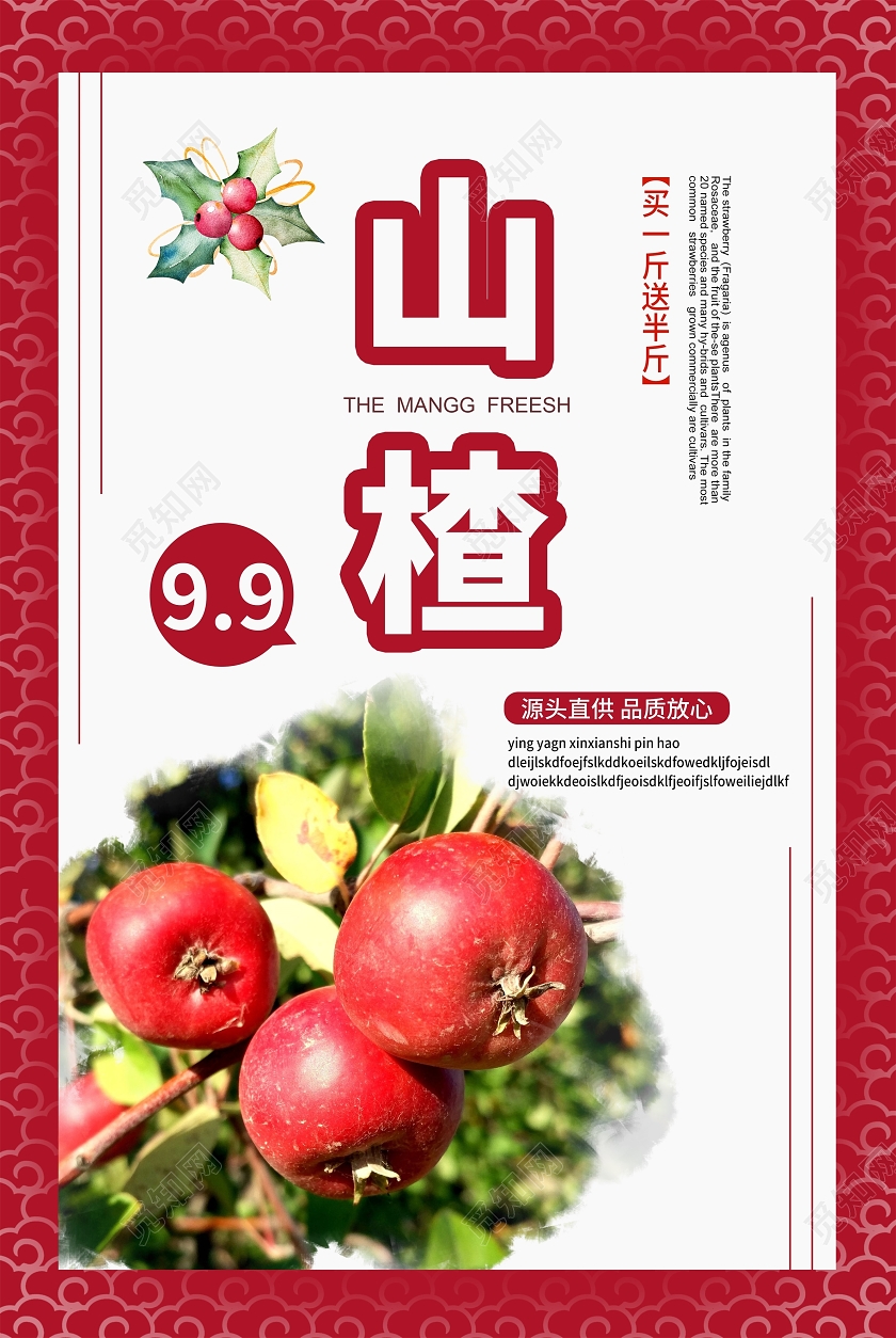 红色简约风山楂山楂水果宣传海报