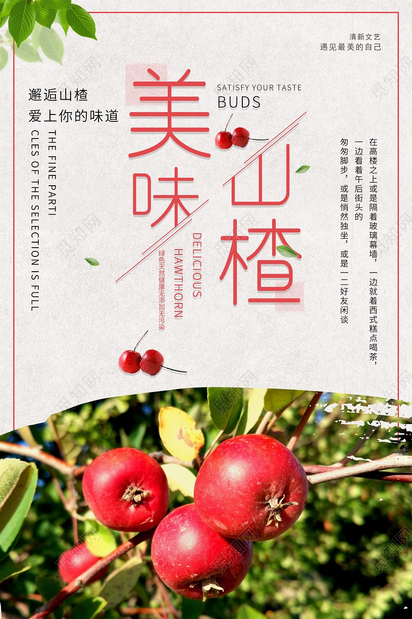 黄色复古风美味山楂山楂水果宣传海报