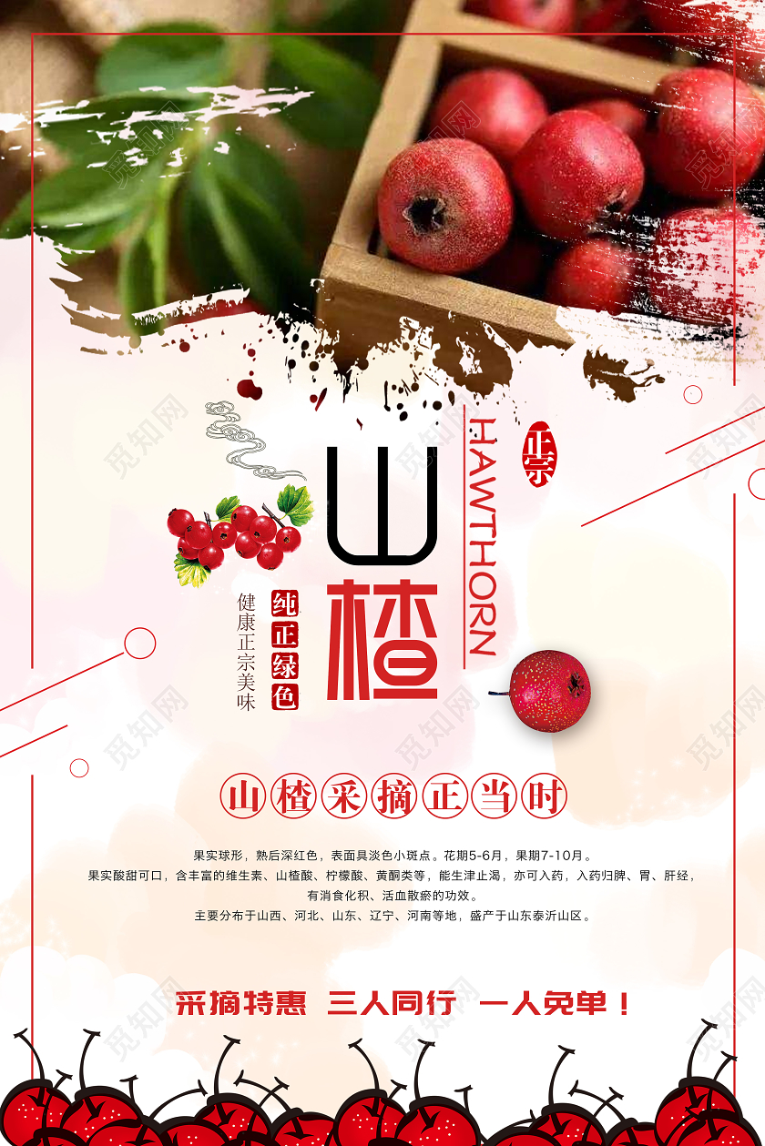 红色简约山楂健康美味水果海报