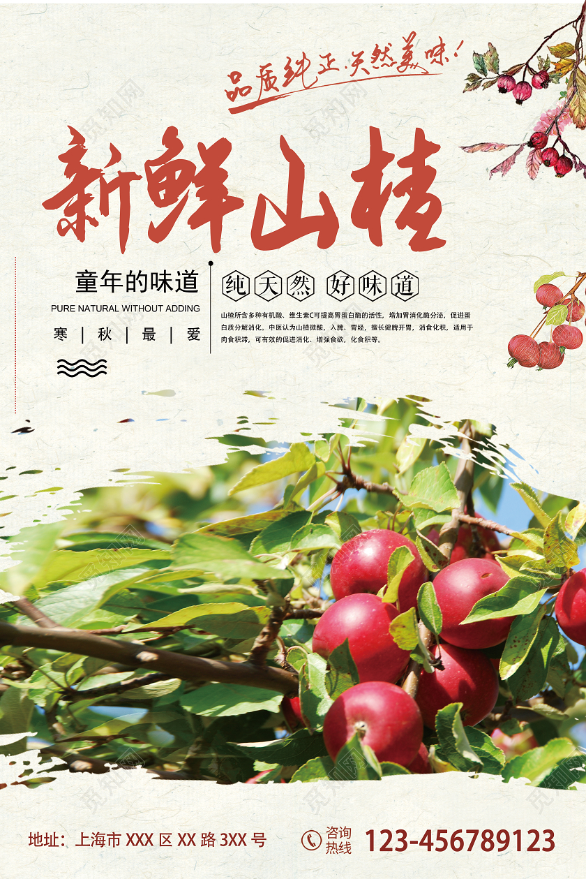 红色简约新鲜美味山楂水果海报