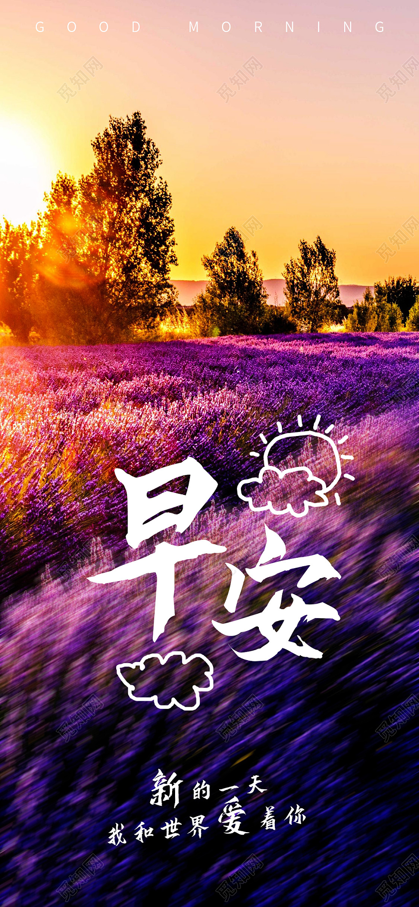 紫色实拍早安早安日签手机海报早安日签手机 海报