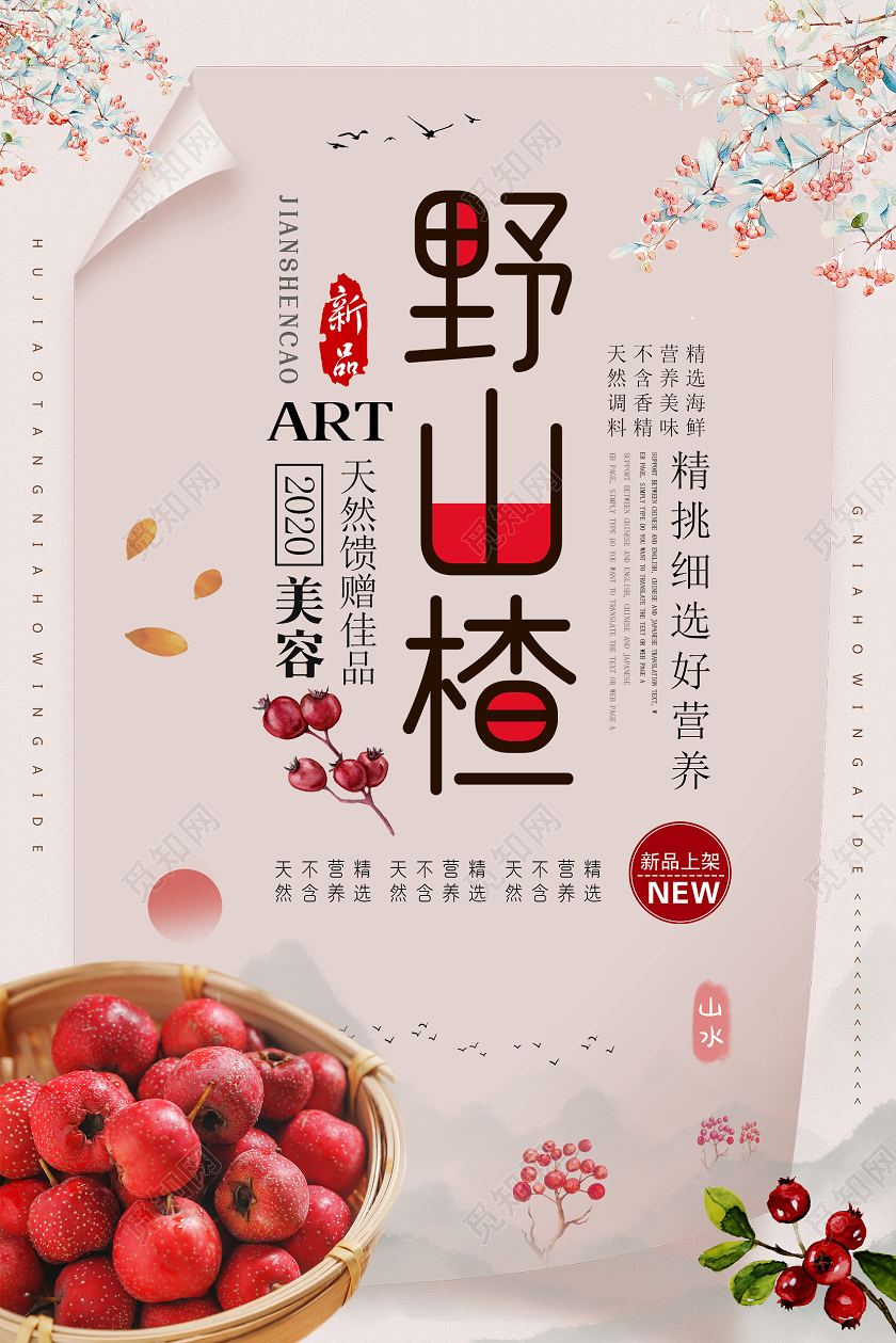 古风创意野山楂