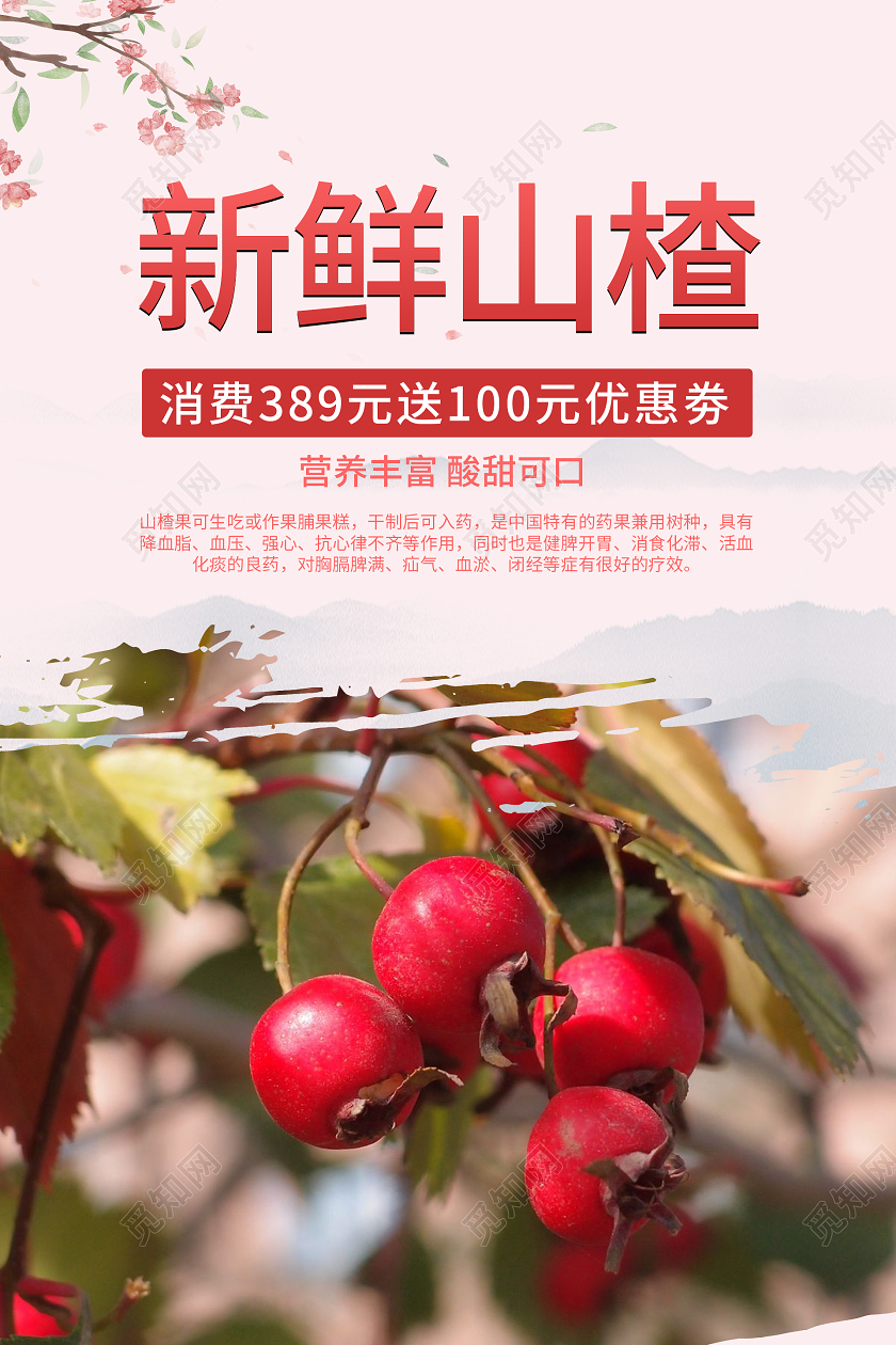 简约大气粉色系新鲜山楂美食宣传海报