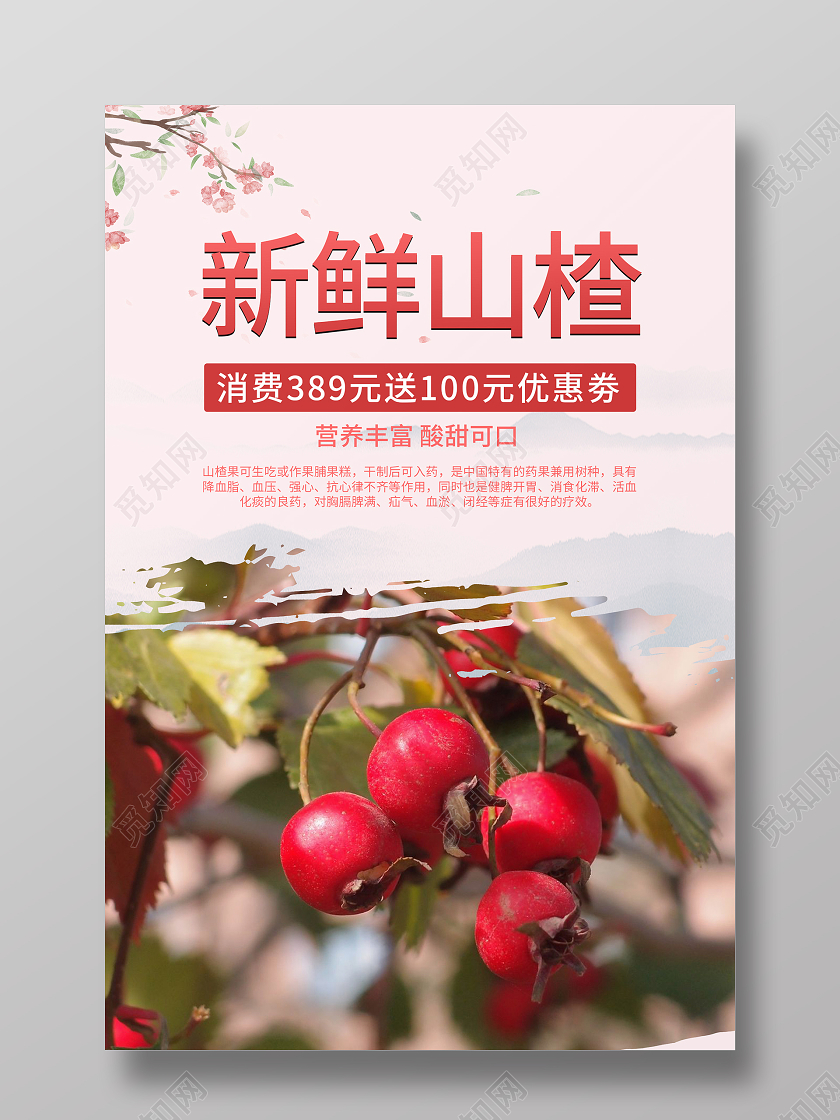 简约大气粉色系新鲜山楂美食宣传海报