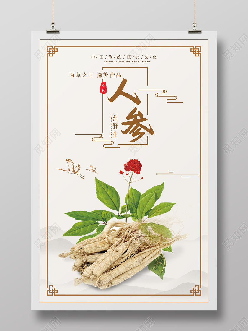 灰色简约中药人参宣传海报