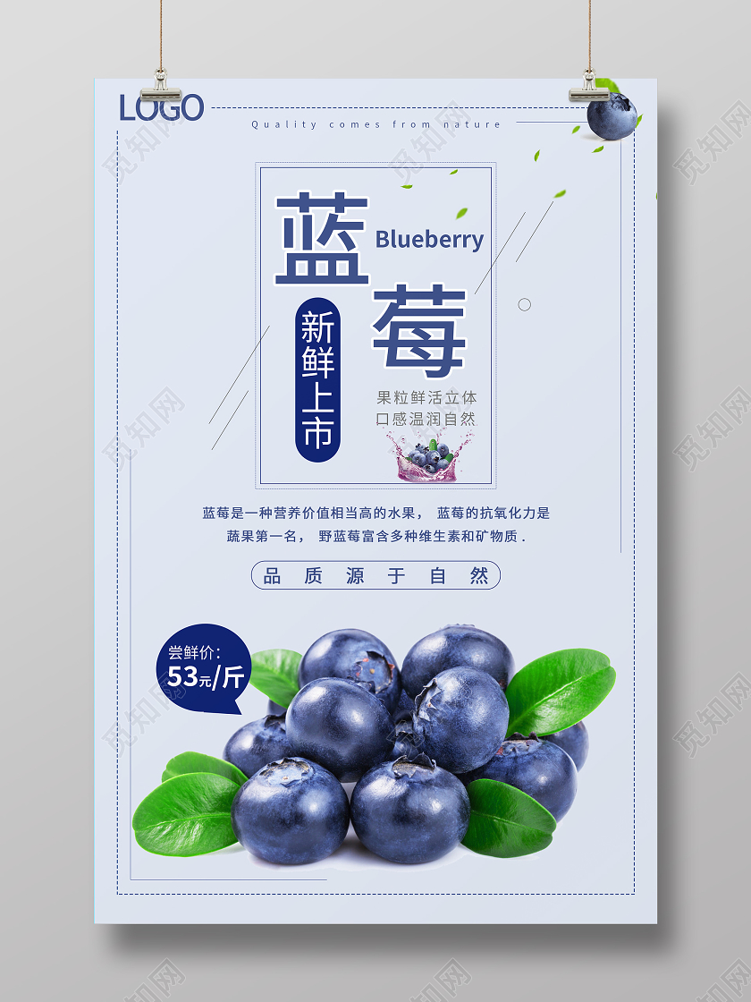 紫色简约清新蓝莓海报