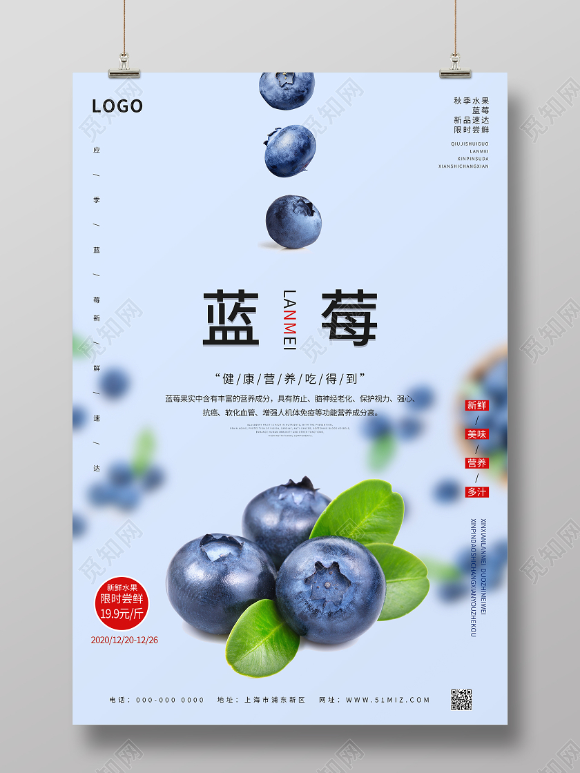 紫色简约清新蓝莓海报