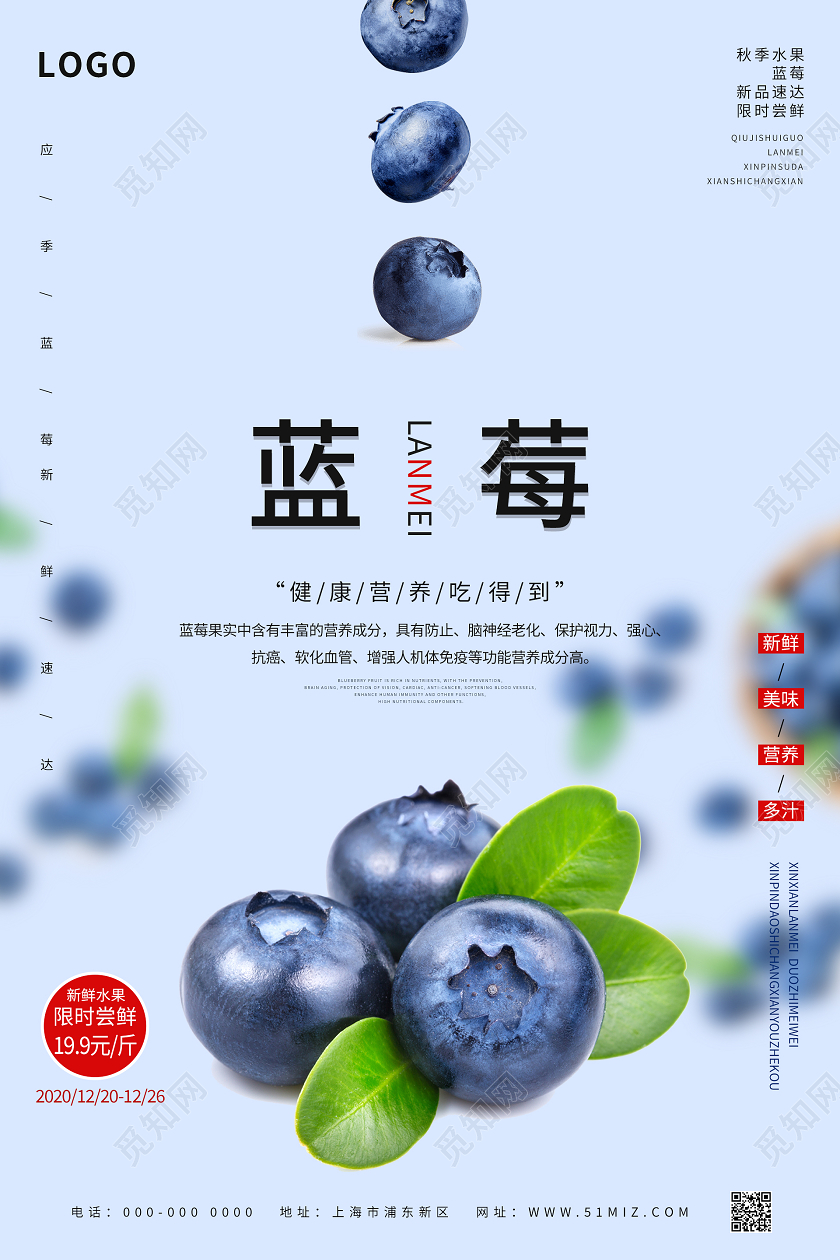 紫色简约清新蓝莓海报