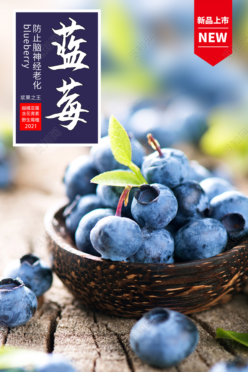 蓝色意境蓝莓水果新品上市海报