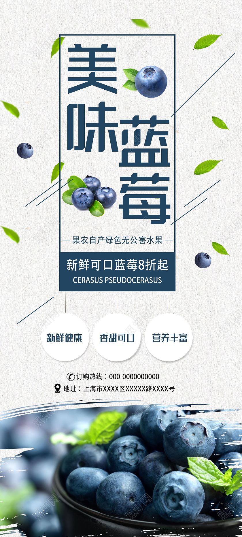 灰色简约美味蓝莓水果促销展架易拉宝