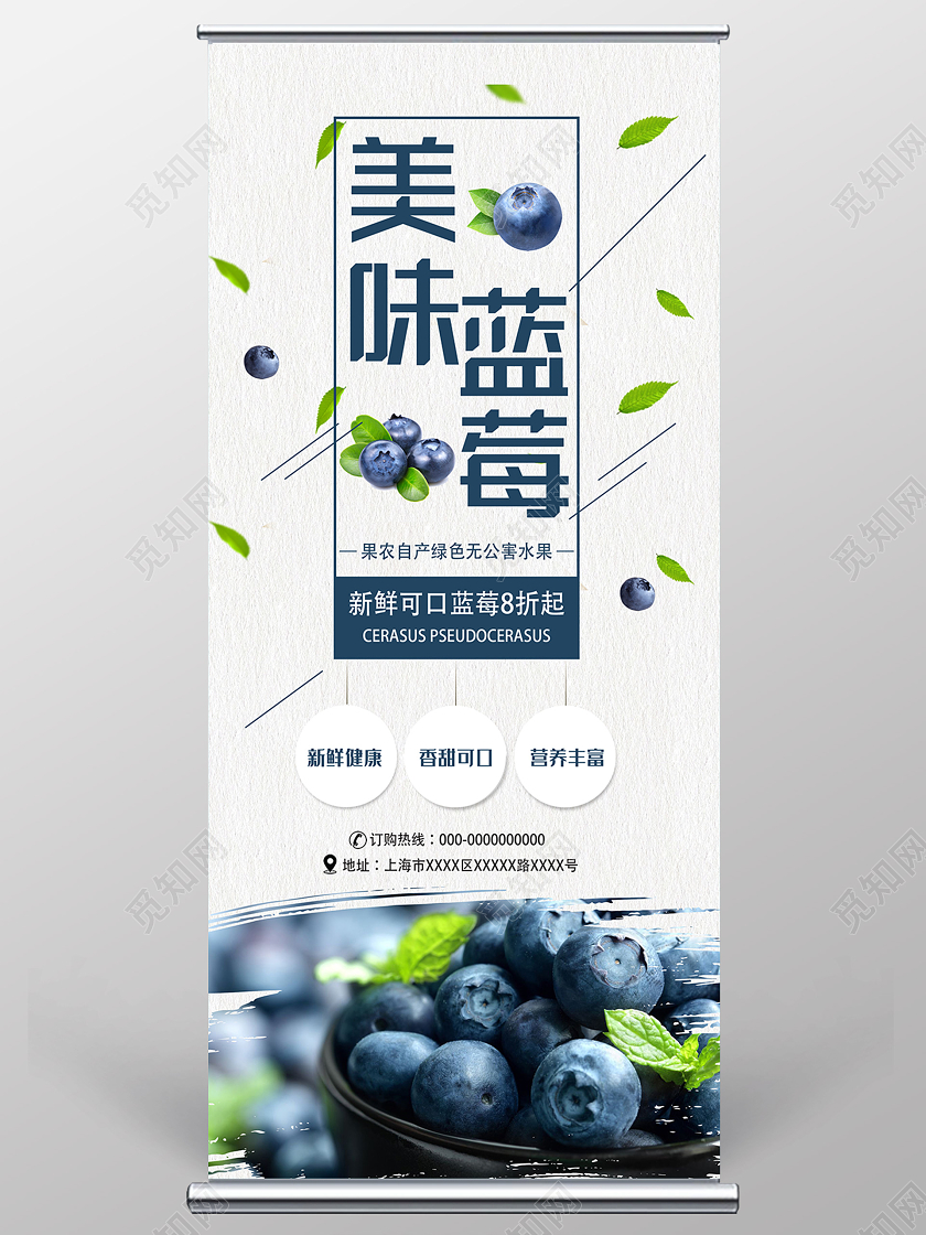 灰色简约美味蓝莓水果促销展架易拉宝