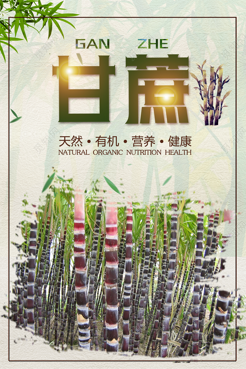 绿色简约甘蔗美食海报