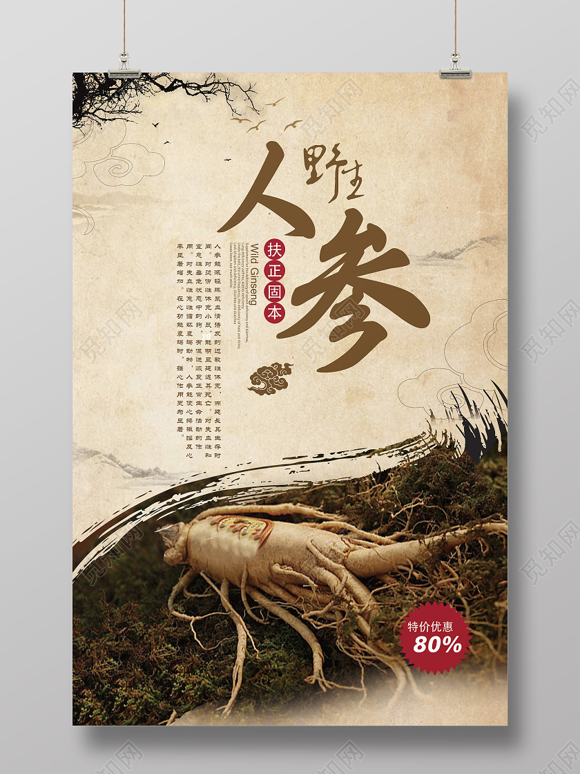 棕色复古简约人参古方植物海报