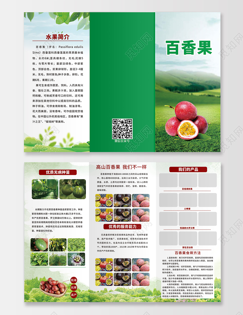 绿色创意风景百香果三折页