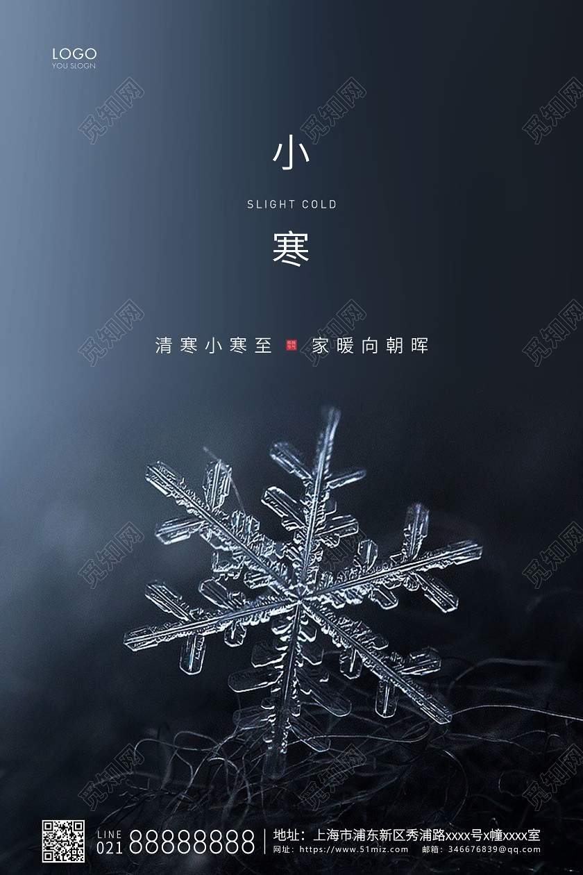黑色简约二十四节气小寒节气宣传海报