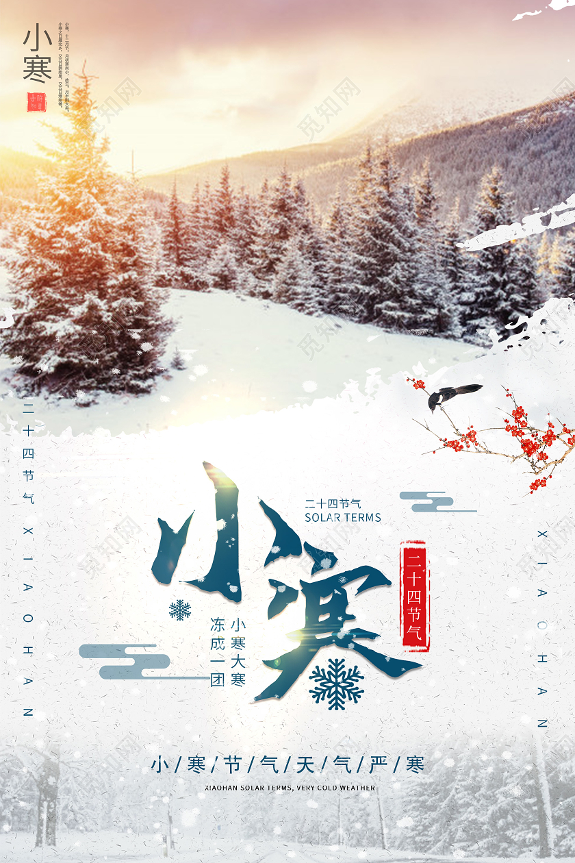 白色意境小寒24二十四节气海报24二十四节气小寒