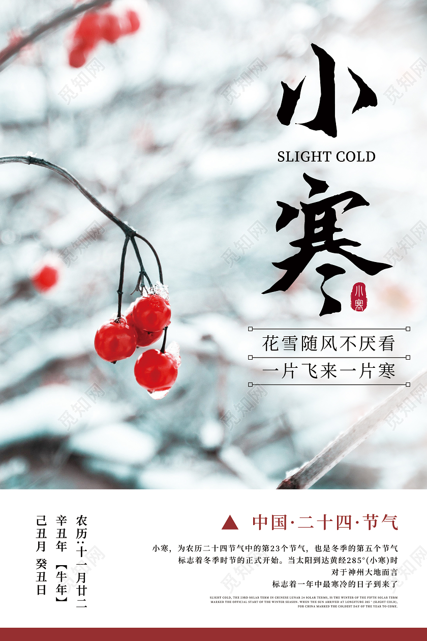 白色意境中国传统24二十四节气海报24二十四节气小寒