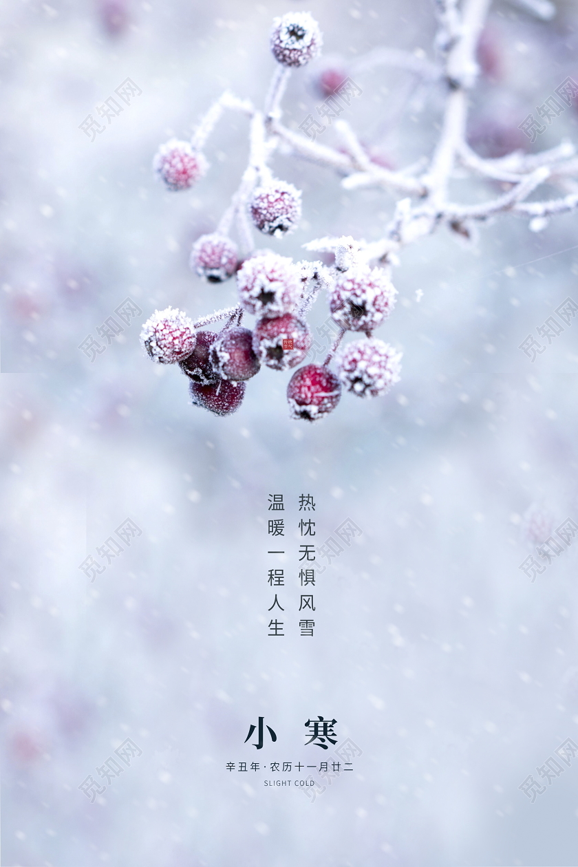 简约中国风传统二十四节气小寒海报设计