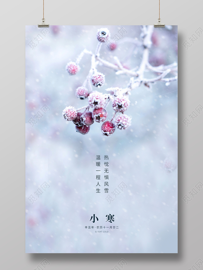 简约中国风传统二十四节气小寒海报设计