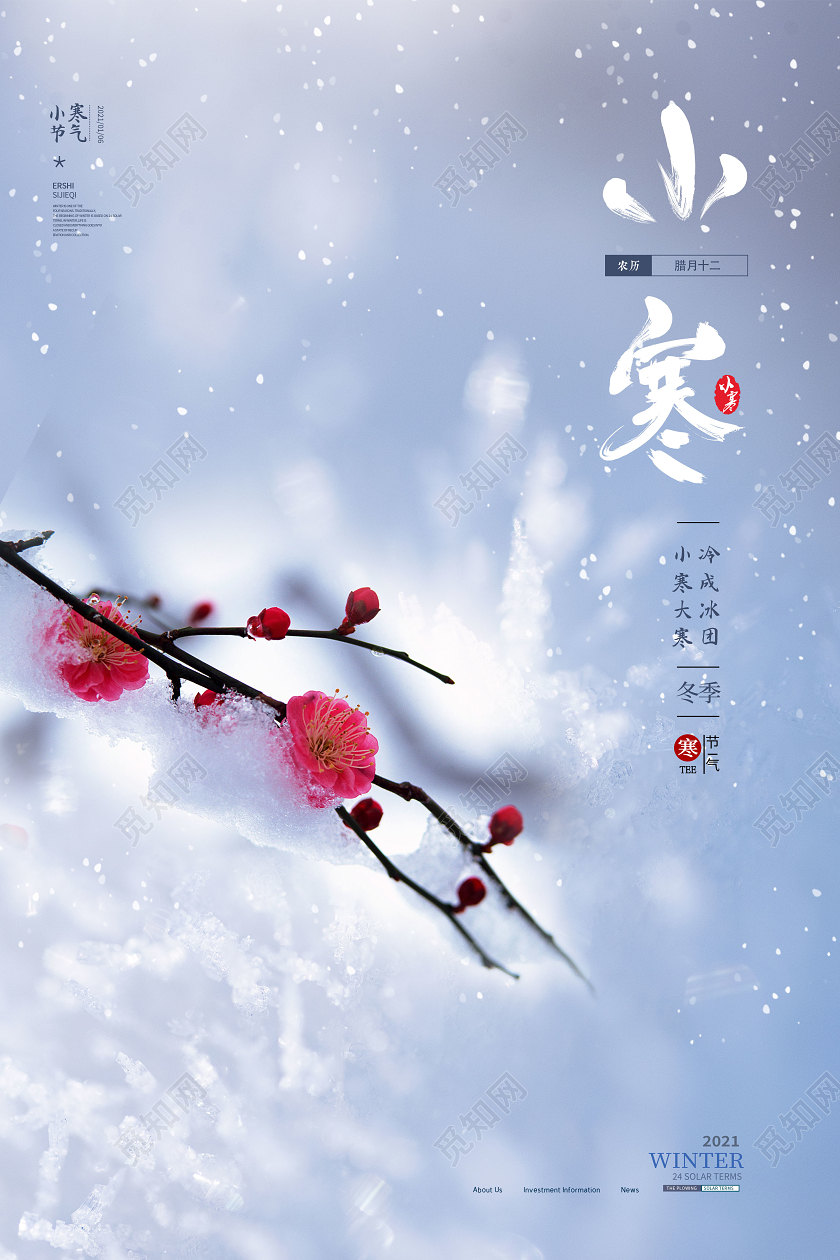 小寒二十四节气海报