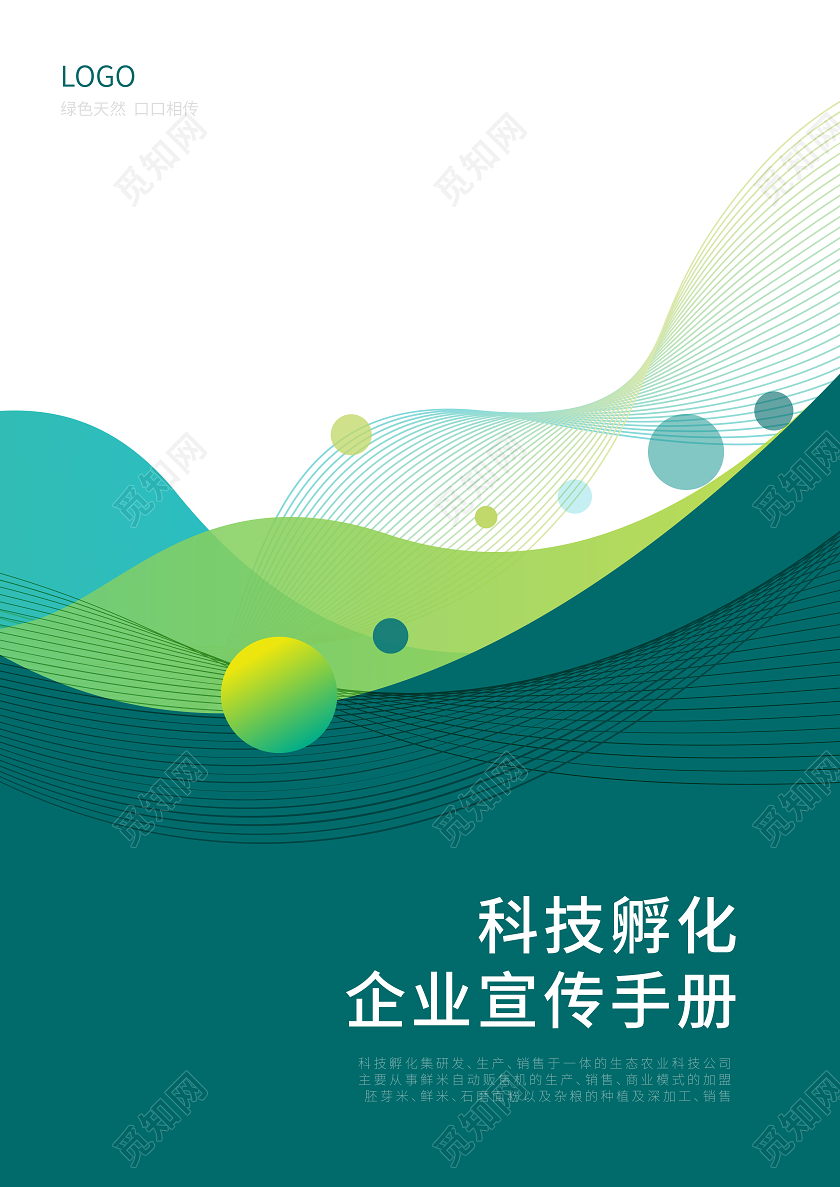 科技孵化科技孵化科技孵化企业宣传手册画册封面