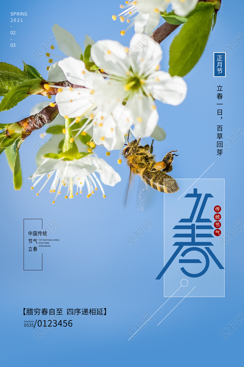 立春春天蓝色宣传中国传统24节气海报