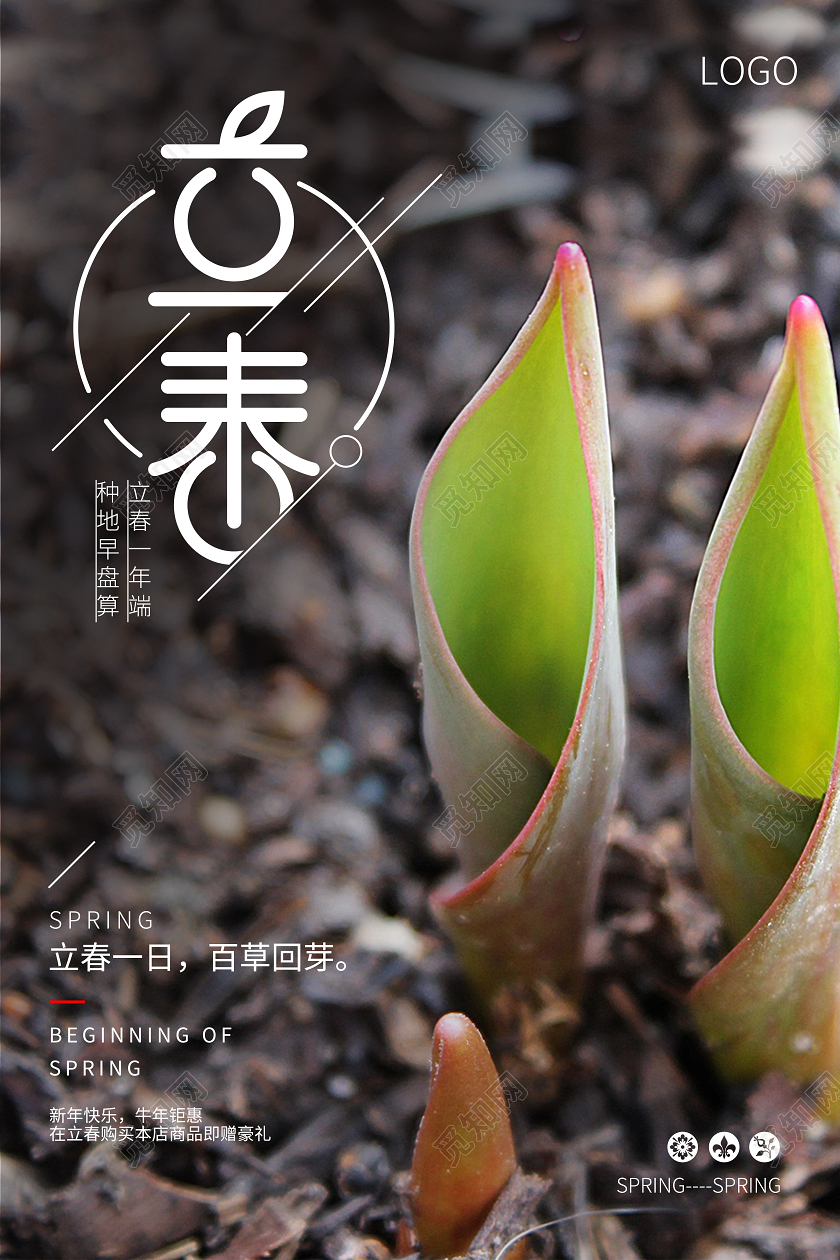 立春春天宣传中国传统节气24节气海报