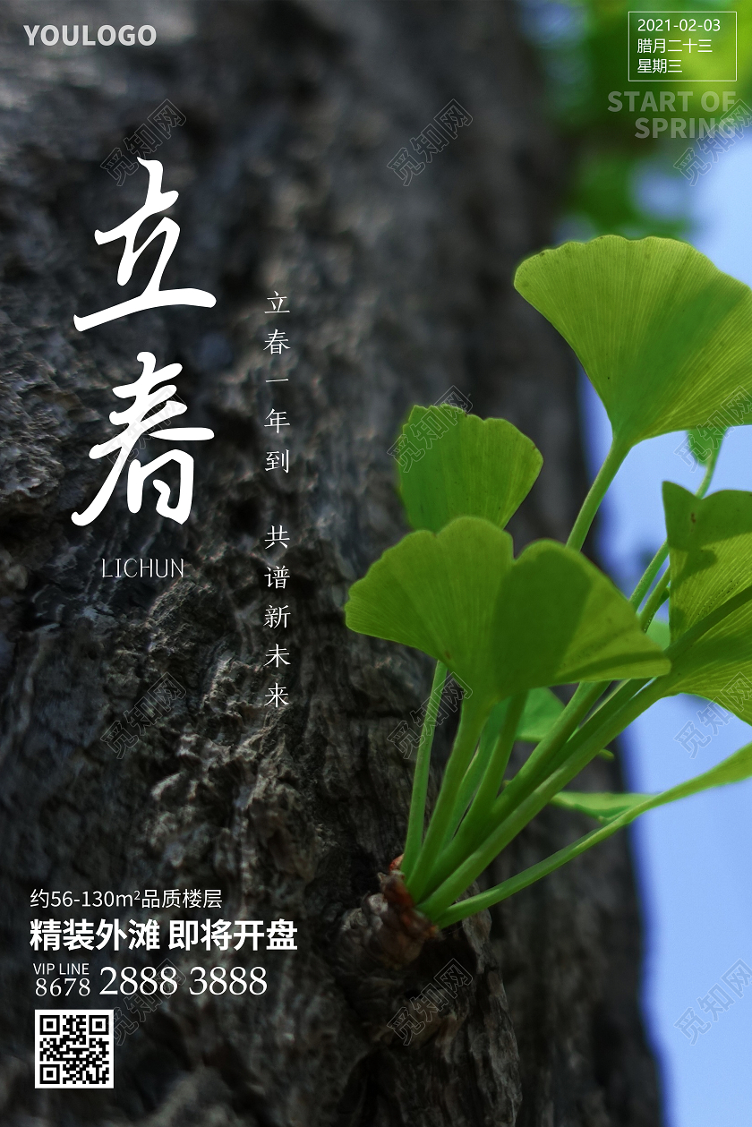 二十四节气立春房地产海报