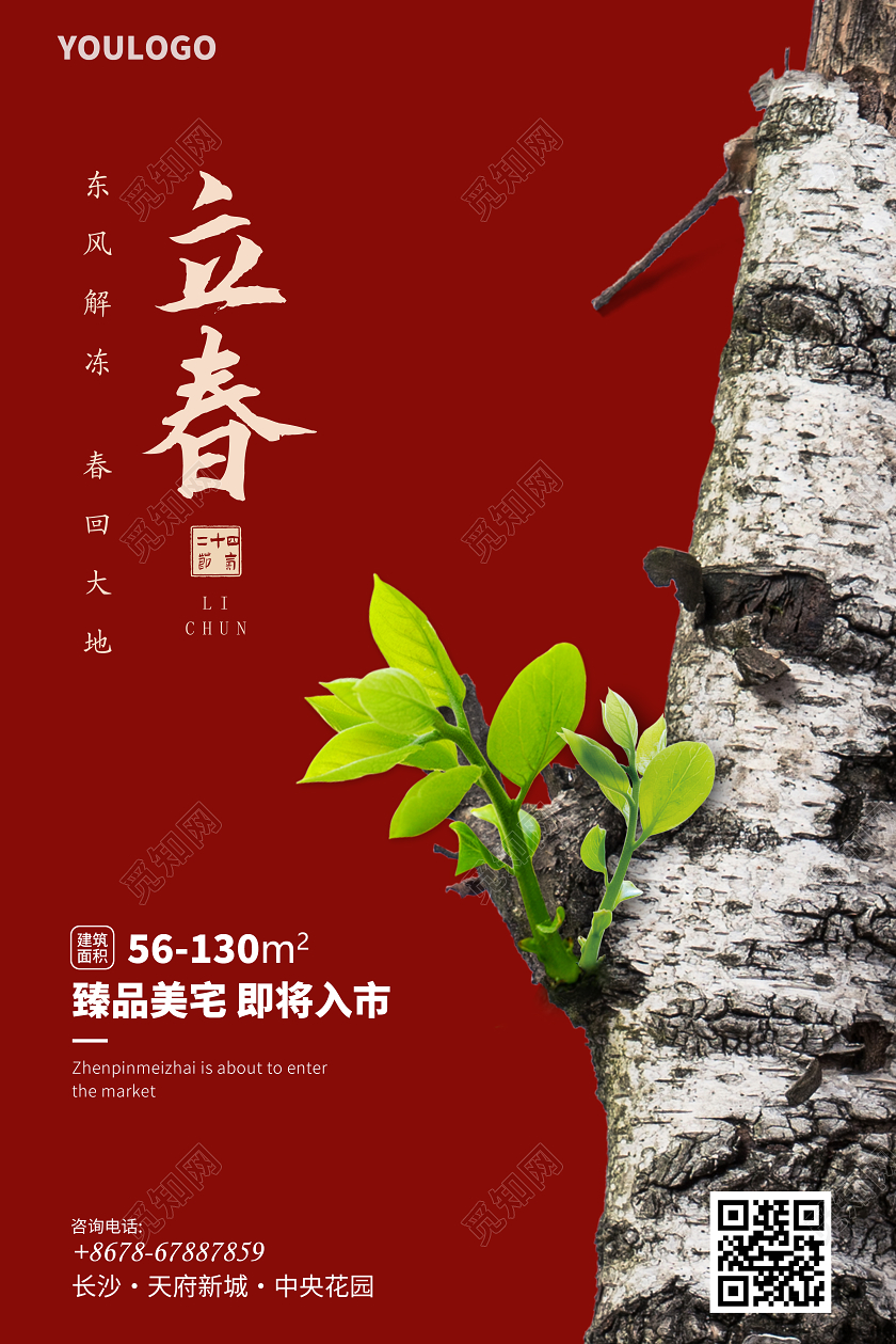 红色二十四节气立春房地产海报