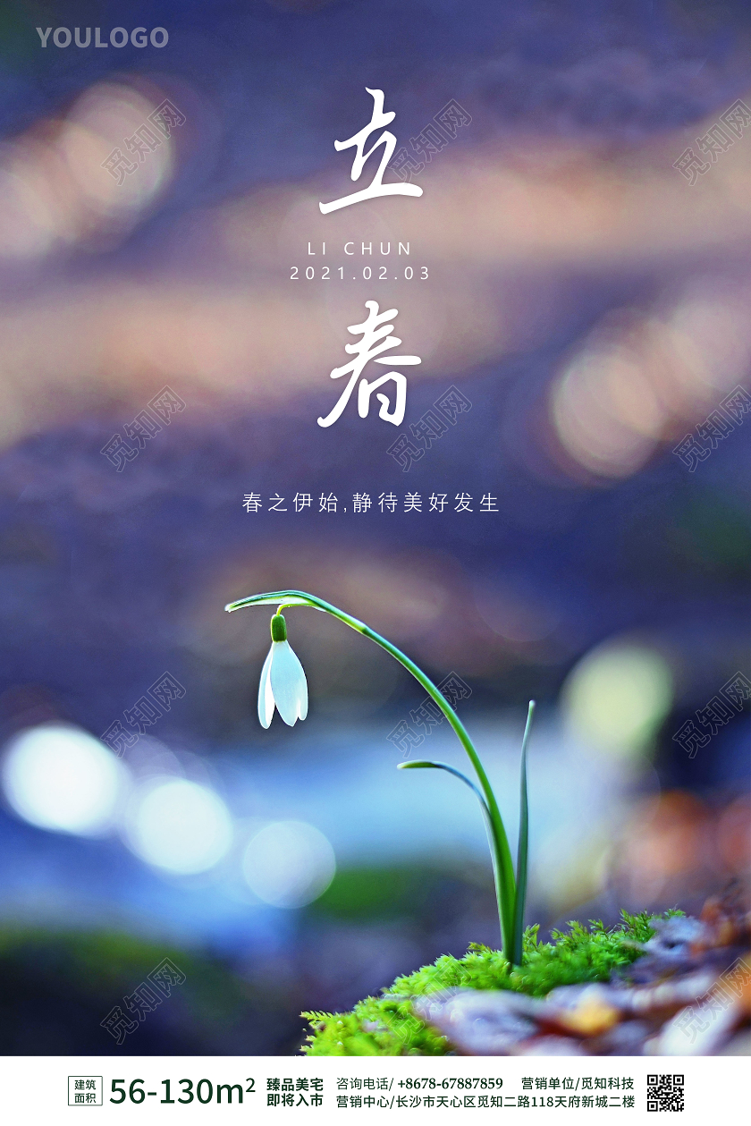 二十四节气立春房地产海报