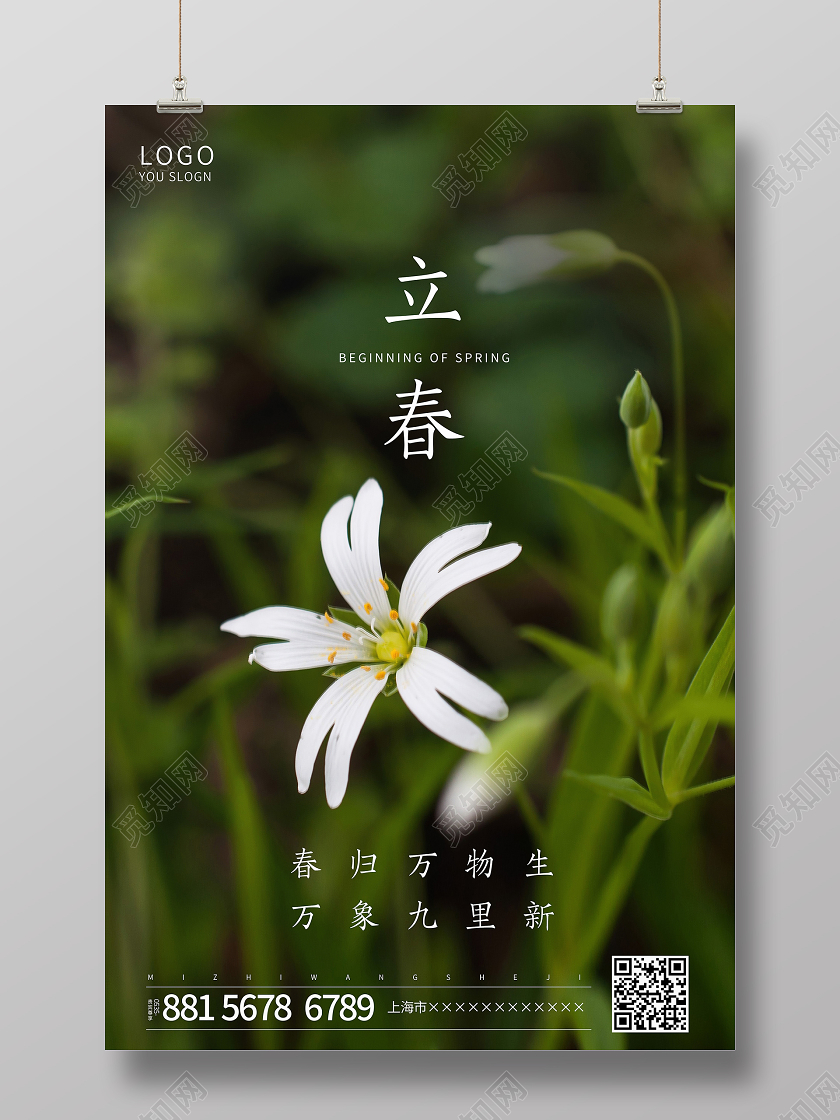 绿色写实摄影图传统节气手机海报立春