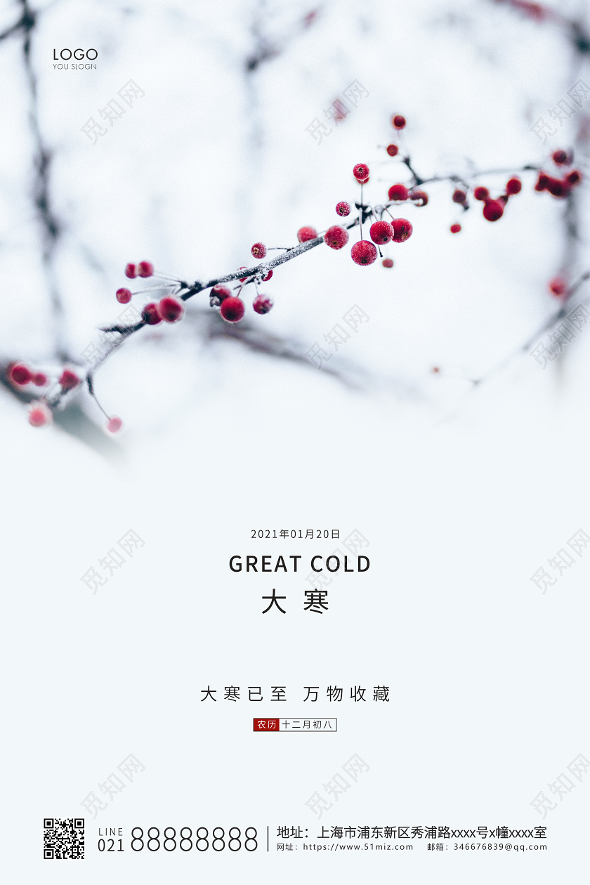 白色简约二十四节气大寒节气宣传海报