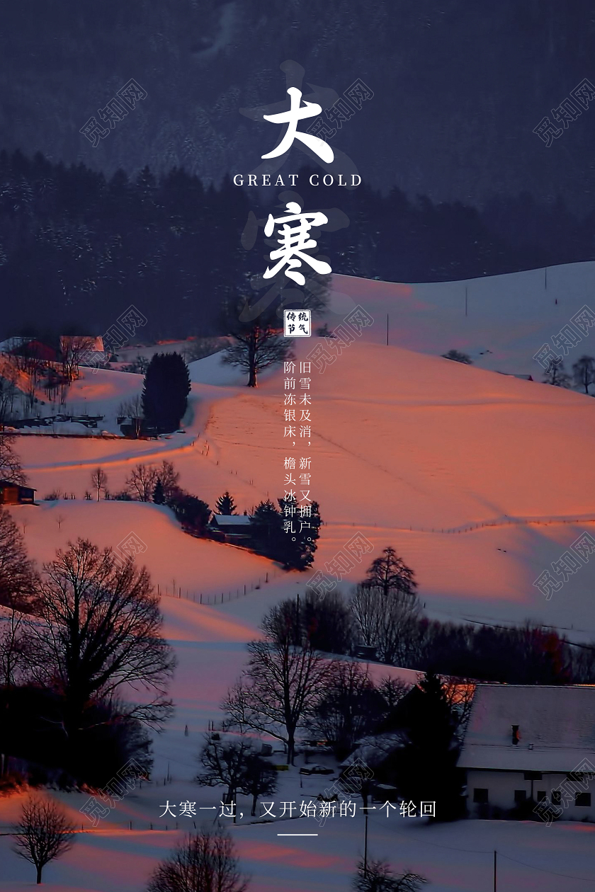 红色简约大寒二十四节气宣传海报