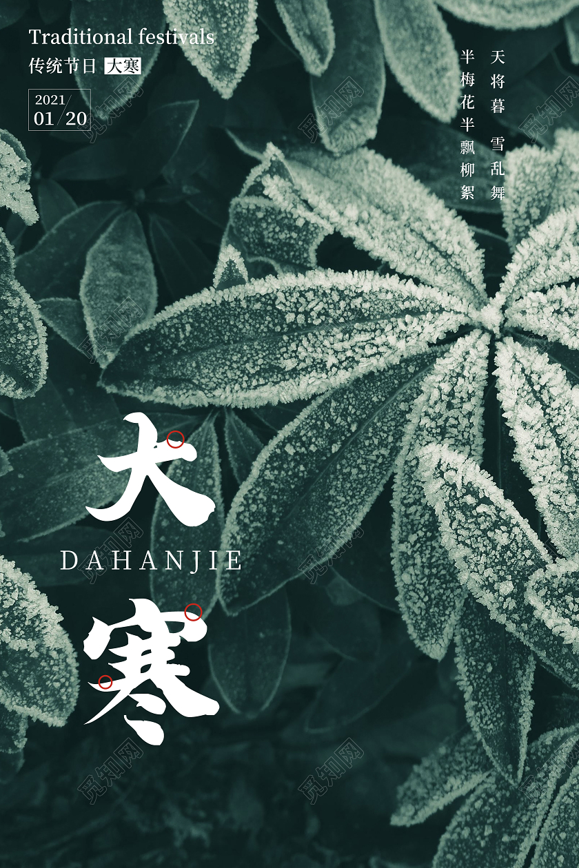 绿色简约大寒二十四节气宣传海报