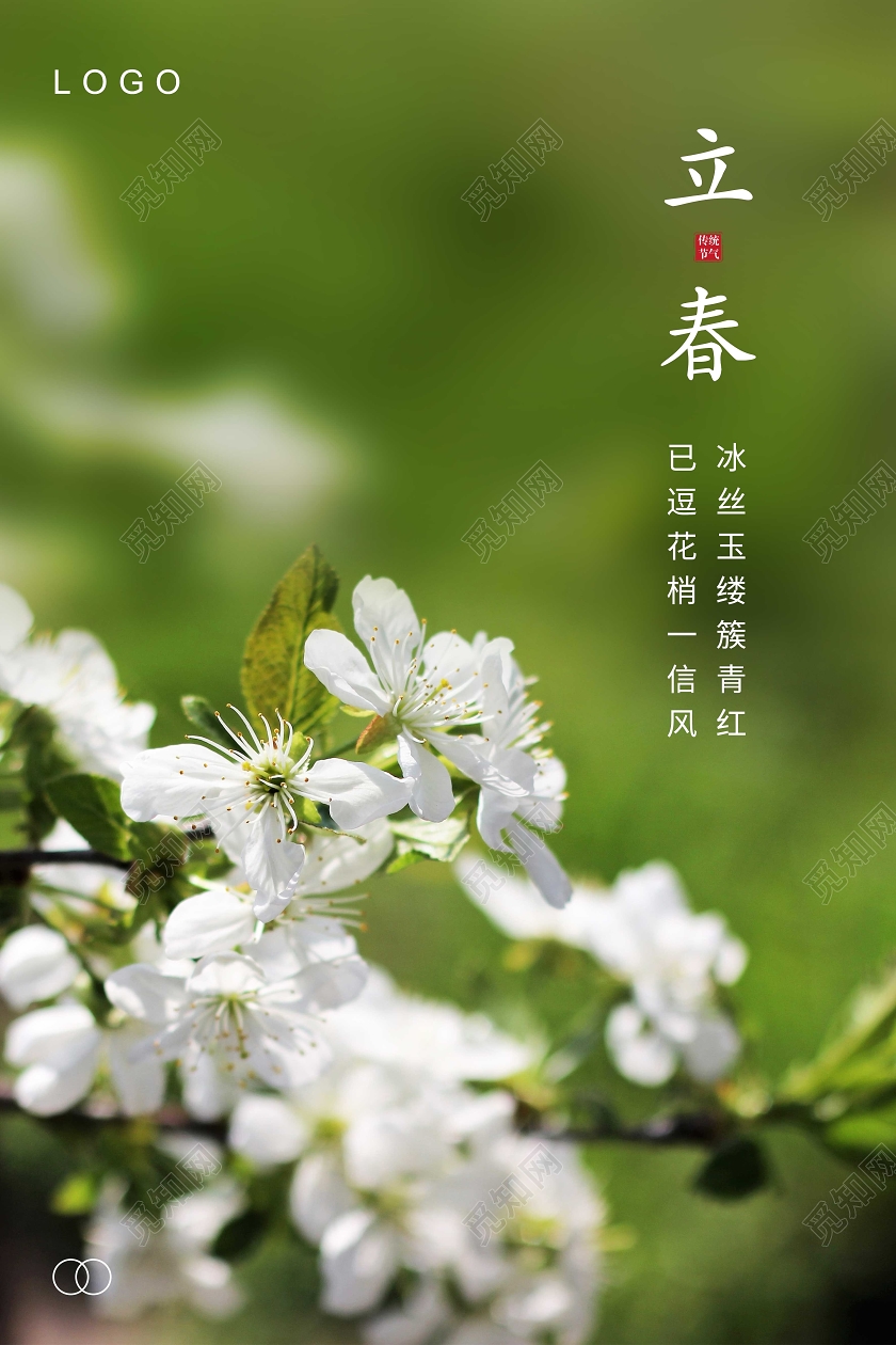 绿色简约立春二十四节气海报